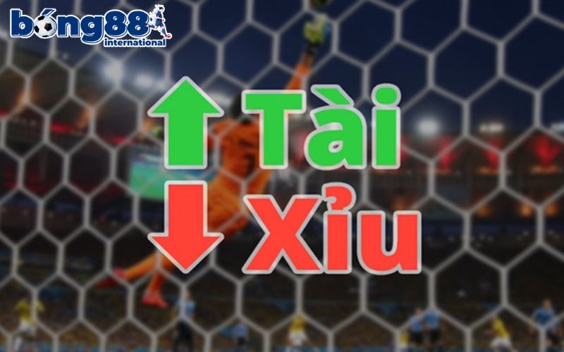 Hiểu rõ luật chơi