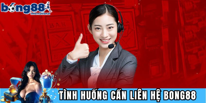 Những tình huống cần thông tin liên hệ