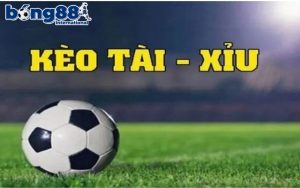 Tổng quan nhanh về kèo tài xỉu 
